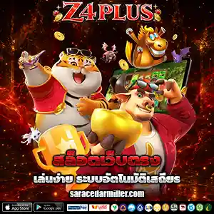 Z4 PLUS สล็อต