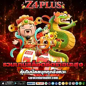 เว็บZ4PLUS